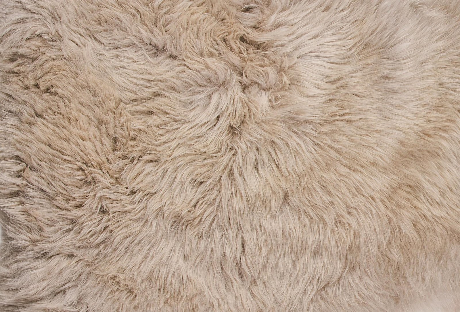 2' X 3' Taupe Genuine Sheepskin Animal Print Shag Area Rug - Image 6