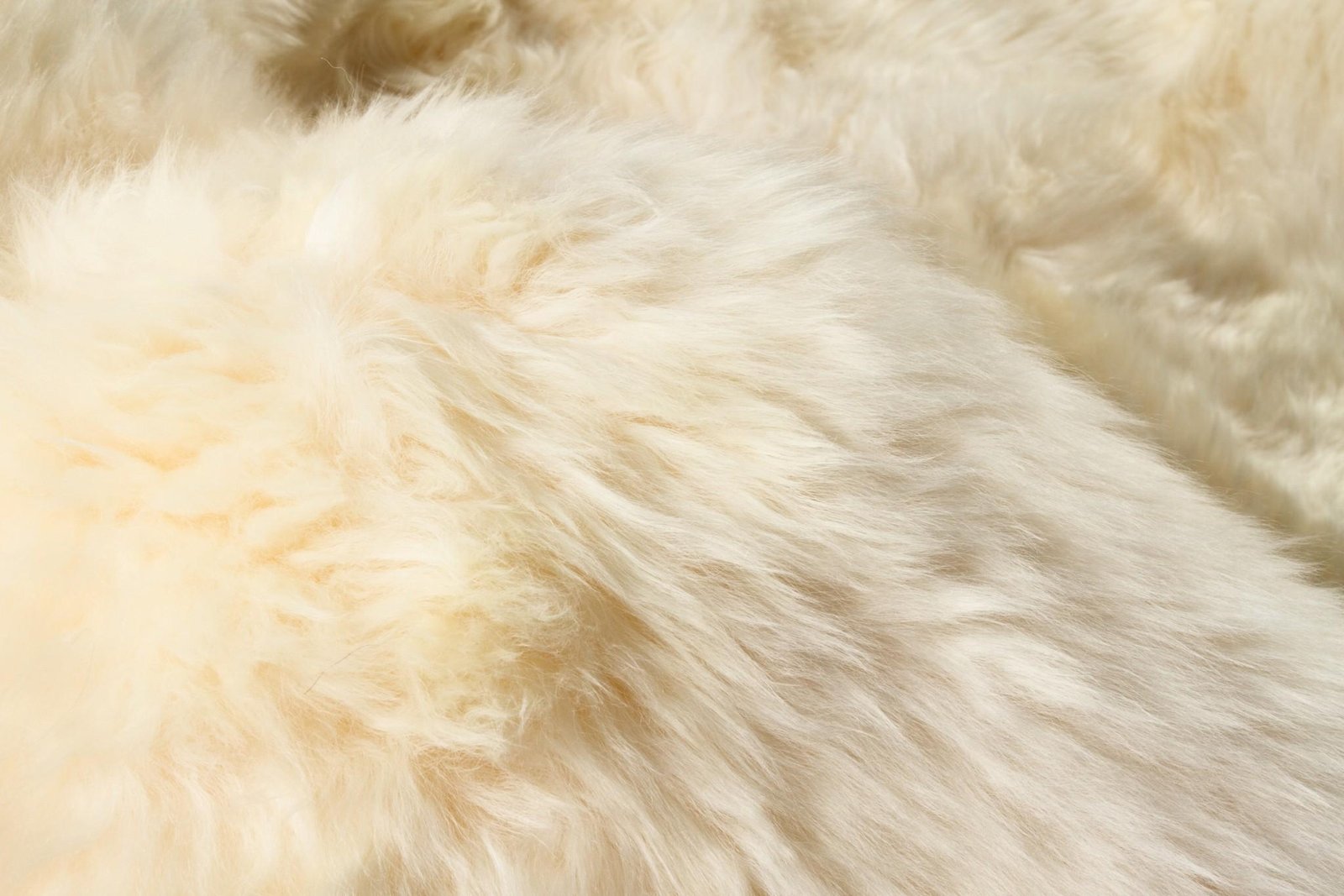 4' X 6' Gold Genuine Sheepskin Animal Print Shag Area Rug - Image 8