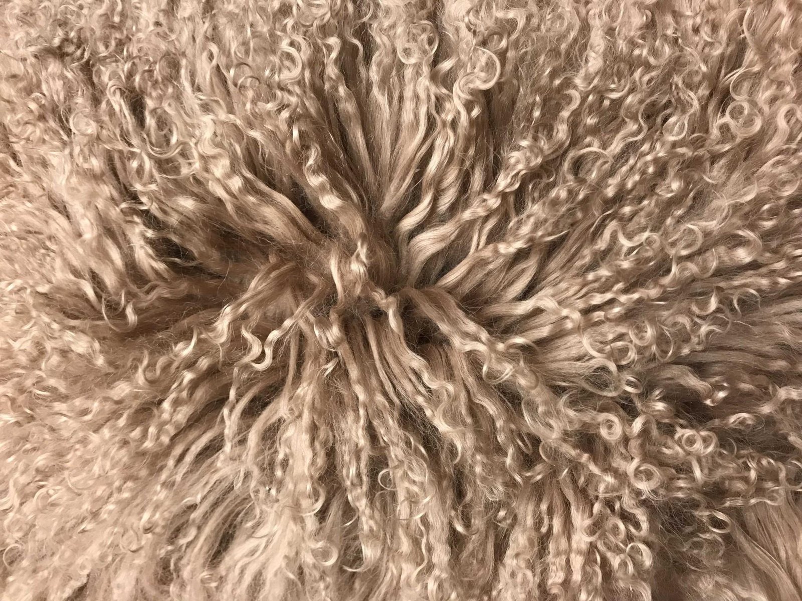 24" Beige Genuine Tibetan Lamb Fur Pillow With Microsuede Backing - Image 6