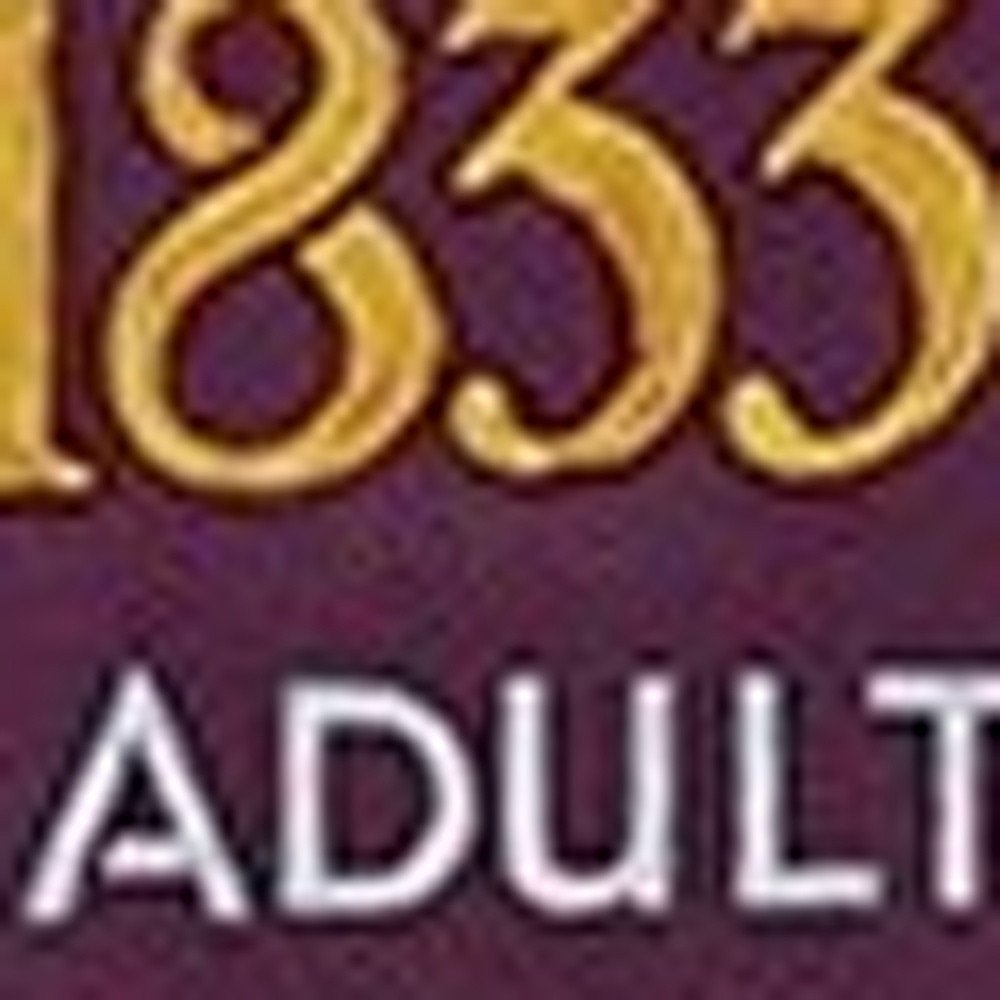 Vintage 1933 Chicago Worlds Fair Unframed Print Wall Art - Image 4